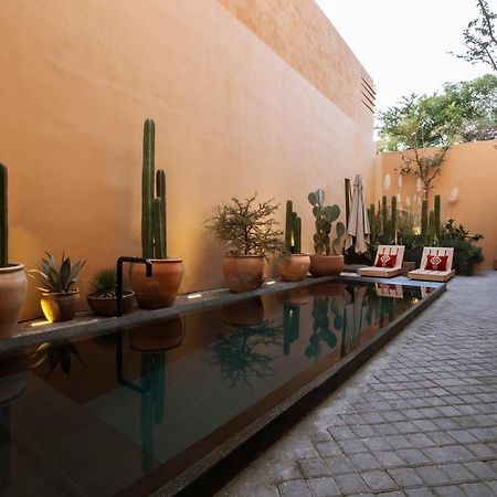 Macondo Arte Oaxaca Bagian luar foto