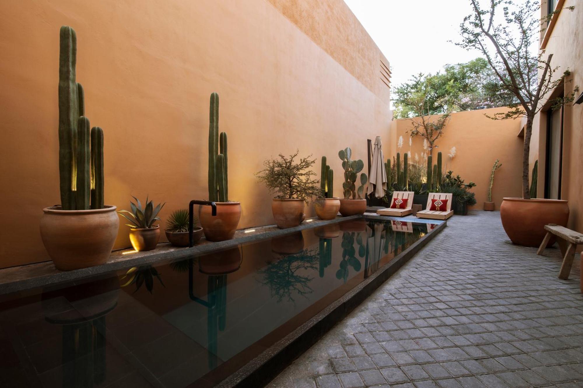 Macondo Arte Oaxaca Bagian luar foto