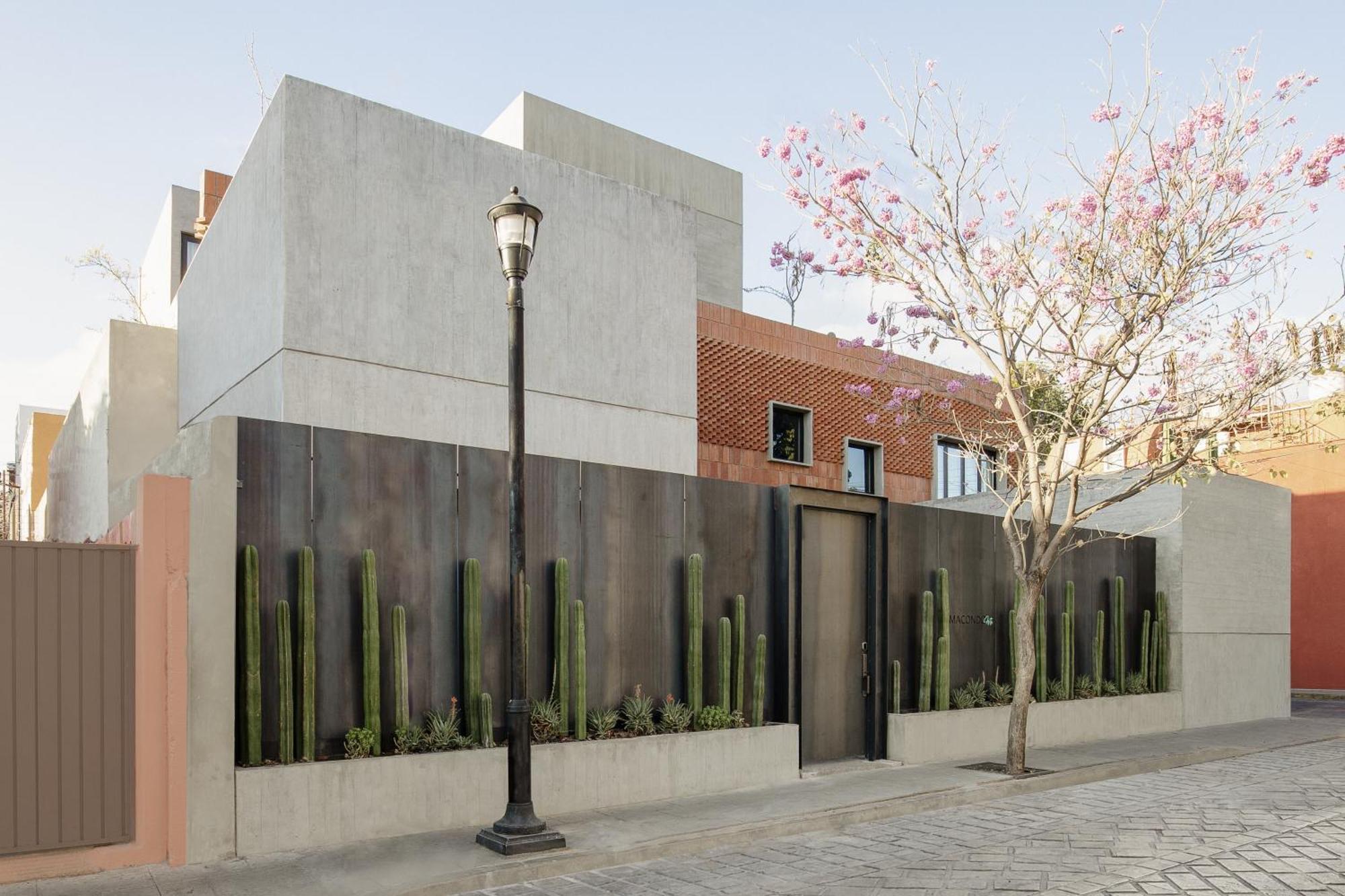 Macondo Arte Oaxaca Bagian luar foto