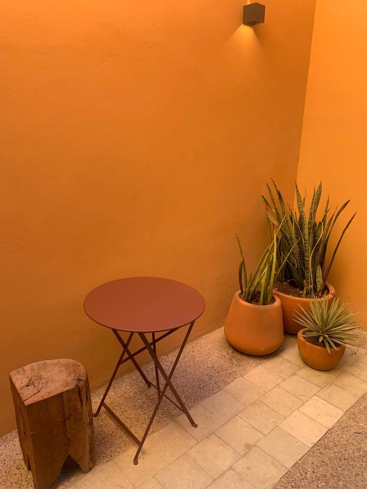 Macondo Arte Oaxaca Bagian luar foto